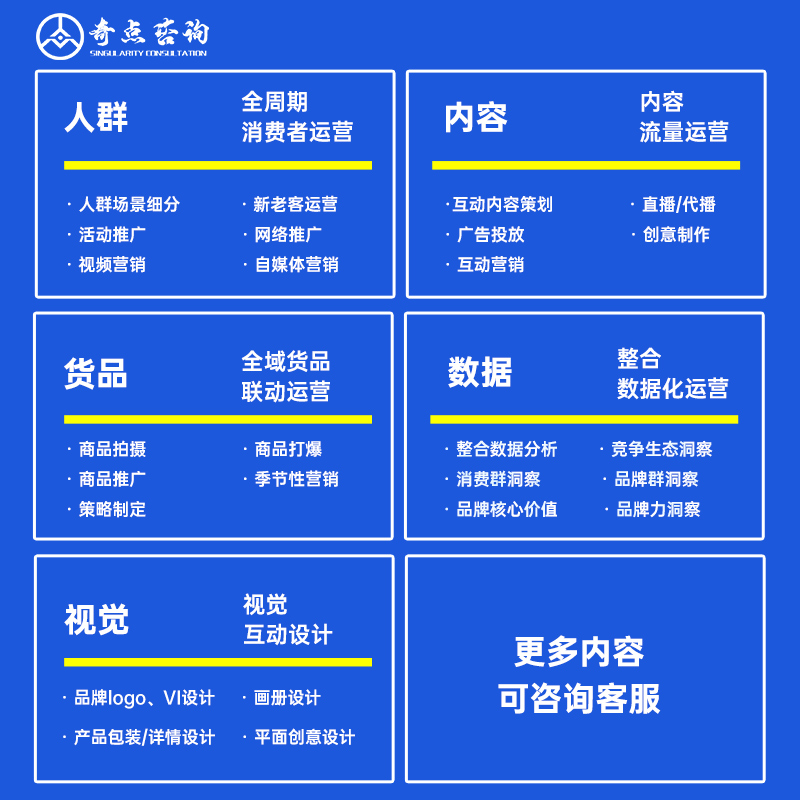 店铺代运营托管淘宝拼多多短视频直播自媒体诚信通seo抖音天猫c店 - 图2