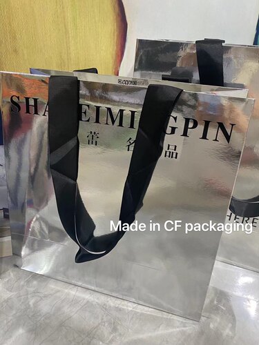 手提袋定制纸袋服装店包装袋拍照道具加长宽丝带银色烫字礼品袋 - 图1