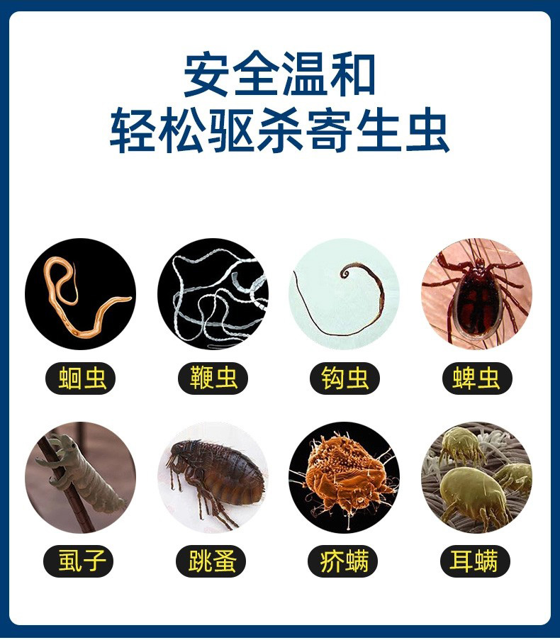 king魔方体外驱虫猫咪去跳蚤蜱虫螨虫宠物狗皮肤病魔方驱虫药滴剂 - 图0