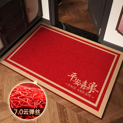 入户门地垫卡通玄关大门门口耐脏免洗脚垫家用门外进门可裁剪地毯 - 图2