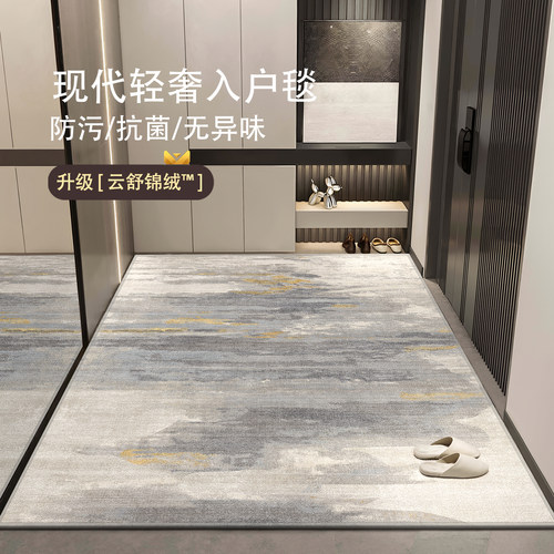 入户门地垫进门地毯高级可裁剪2026新款玄关客厅轻奢脚垫可定制 - 图0