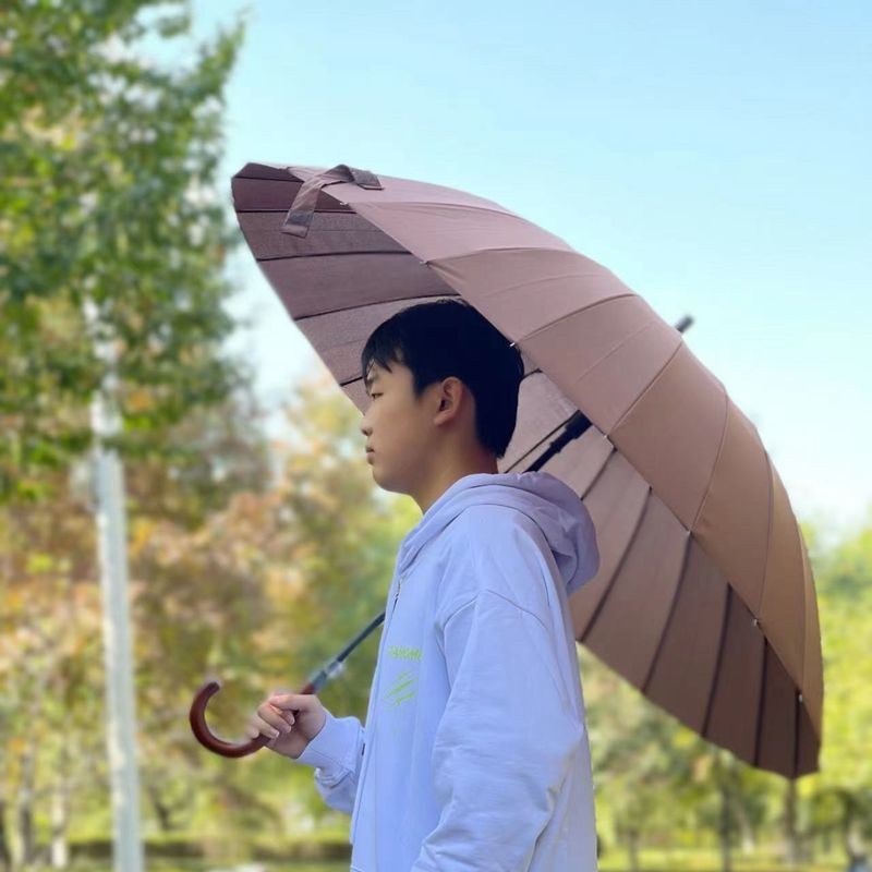 男士加大加固实木柄24骨商务雨伞纯色双人长柄伞自动晴雨伞强抗风_虎窝淘