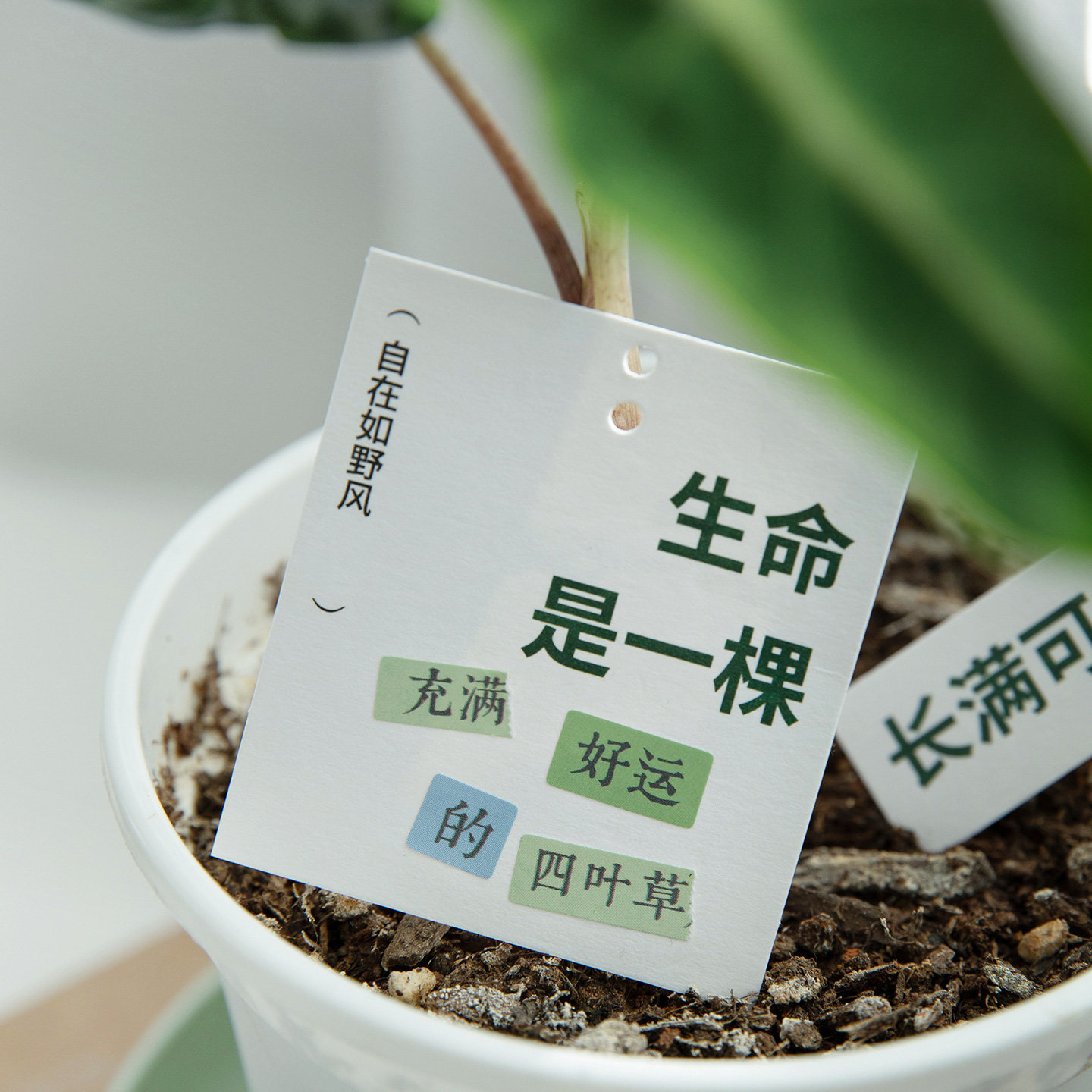 『祝好』模切排废胶带 玩转文字拼贴成诗贴纸手帐贺卡diy装饰素材,淘宝优惠券,粉丝福利购,淘宝优惠卷