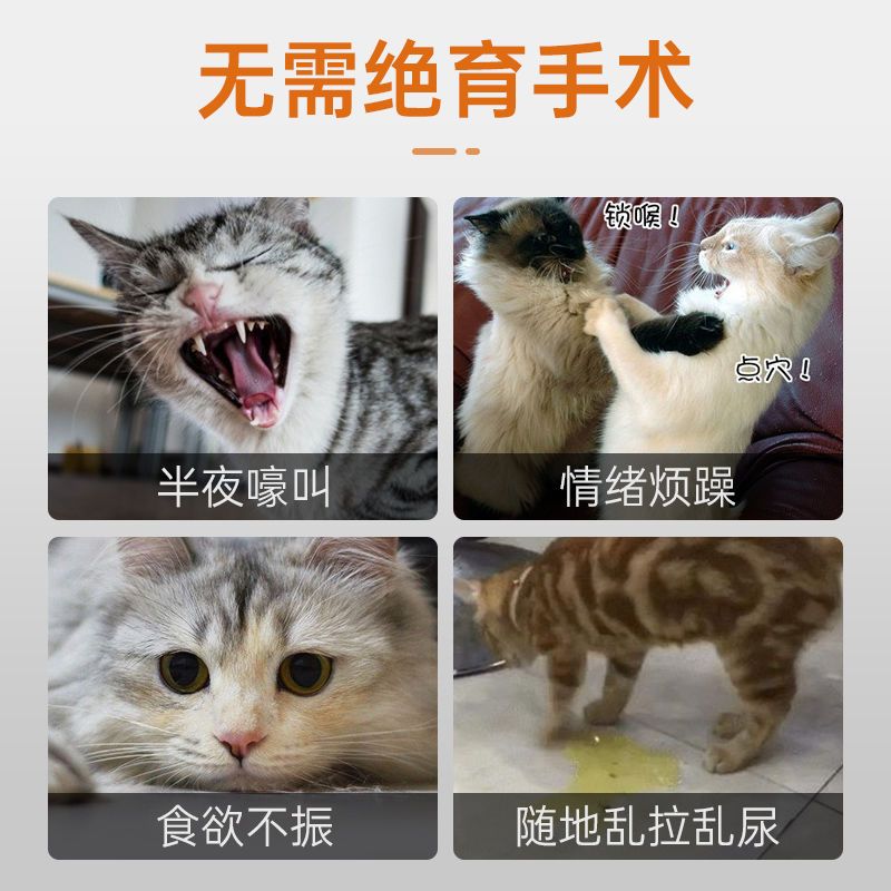 壹米猫咪通用禁情粉防止嚎叫乱便无须绝育抑制情欲粉猫咪禁情 - 图0