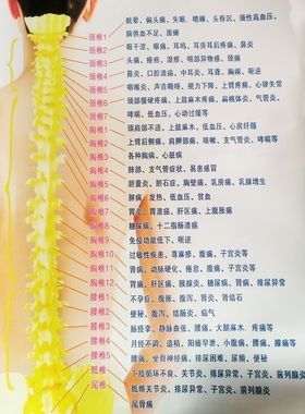 骨盆骨修复仪前倾斜脊柱侧弯矫正器带产后收胯跨家用训练器康复仪