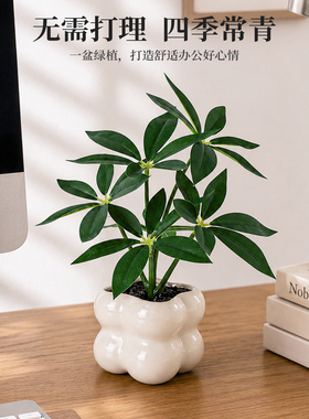 现代简约仿真绿植桌面装饰摆件