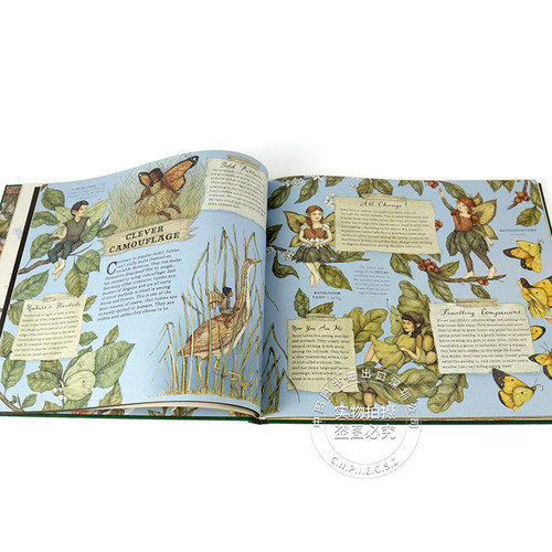 英文原版 A Natural History of Fairies 精灵的自然历史 艺术绘本 压花布封面 仙子的秘密生活 精装珍藏版 进口正版书 - 图2