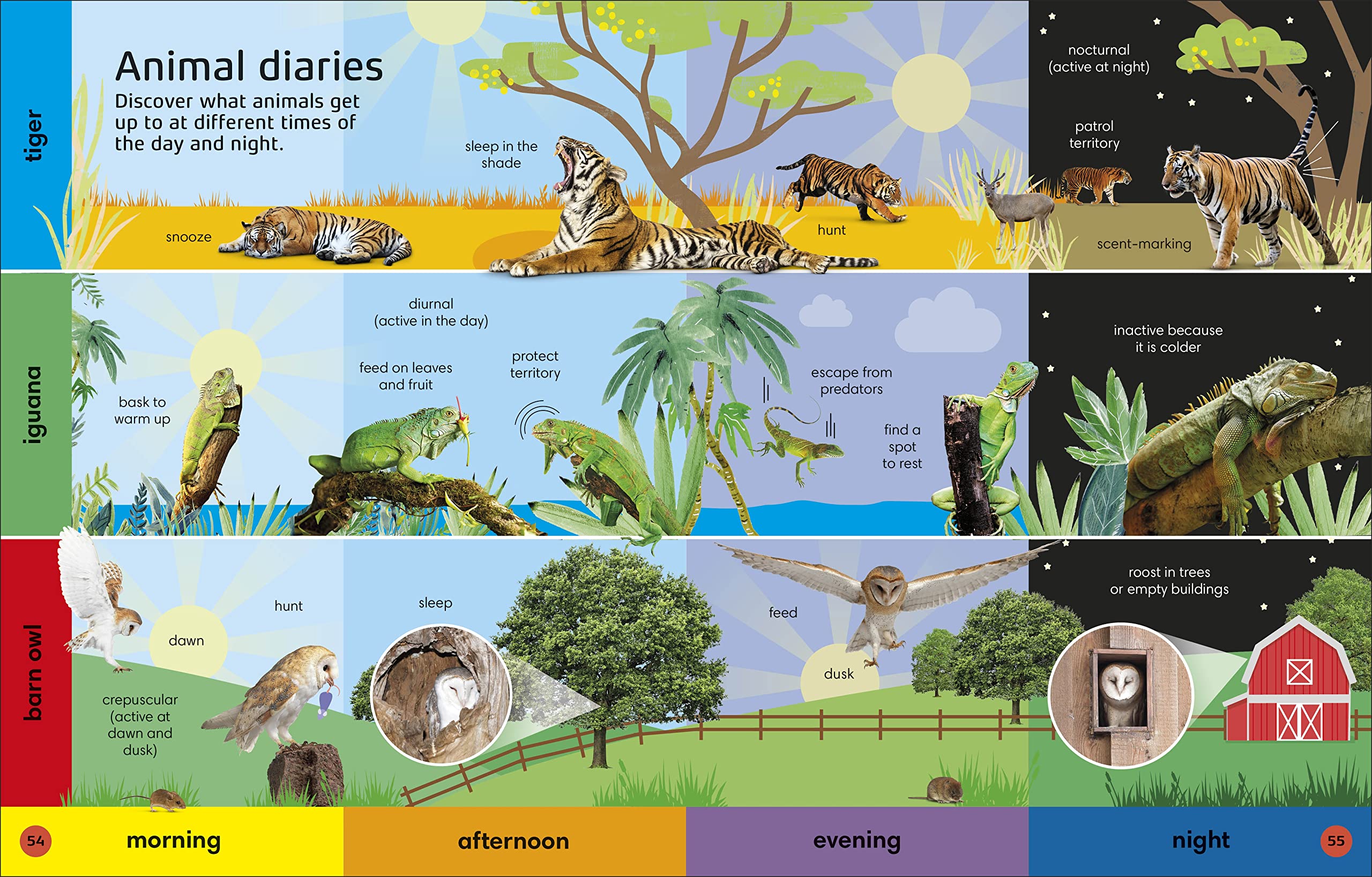 英文原版 1000个动物单词建立动物词汇和读写技能 1000 Animal Words: Build Animal Vocabulary and Literacy Skills