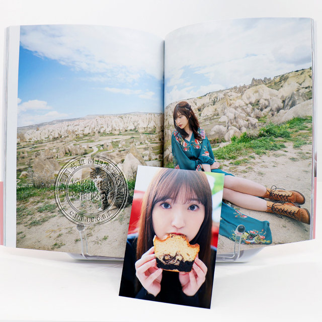 Spot Toyoda Moe絵 Photo Album Moemotion With Postcard Toyota Moe Painted 2nd Photo Album Seiyuu