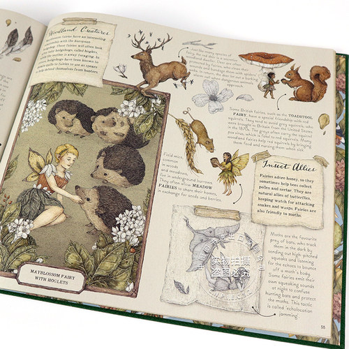 英文原版 A Natural History of Fairies 精灵的自然历史 艺术绘本 压花布封面 仙子的秘密生活 精装珍藏版 进口正版书 - 图1