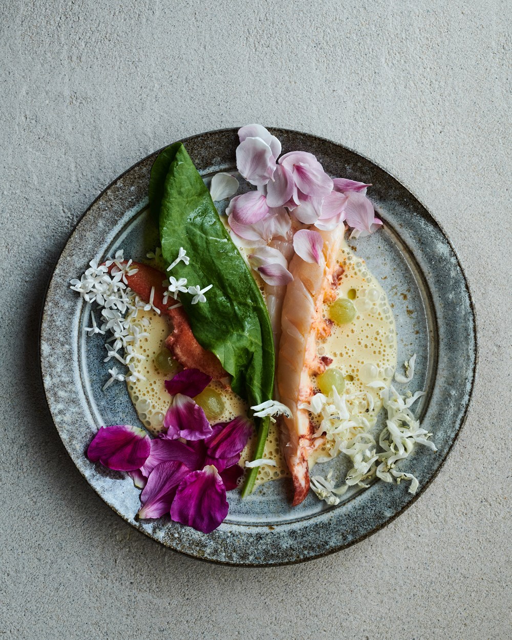 预售英文原版 米其林三星丹麦餐厅 Noma2.0 蔬菜 森林和海洋Noma2.0 Vegetable Forest Ocean Rene Redzepi 食谱书美食