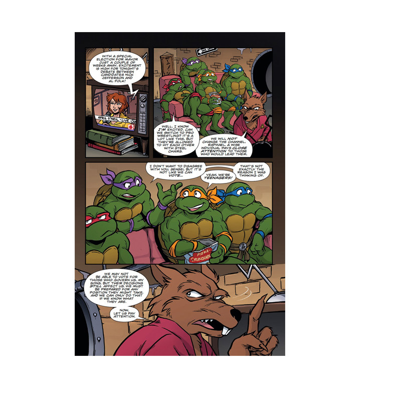 英文原版漫画 忍者神龟:星期六早上的冒险 第三卷 Teenage Mutant Ninja Turtles: Saturday Morning Adventures 3 故事书合集