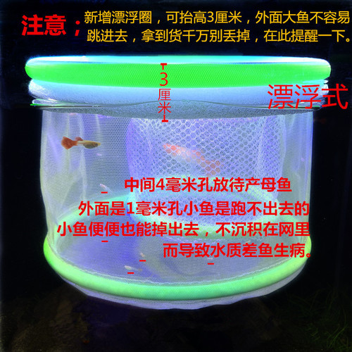 鱼苗繁殖盒不用下石头的隔离网孔雀鱼产鱼孵化盒鱼缸隔离盒幼鱼网 - 图2