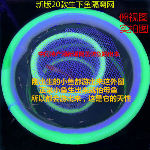 鱼苗繁殖盒不用下石头的隔离网孔雀鱼产鱼孵化盒鱼缸隔离盒幼鱼网 - 图1