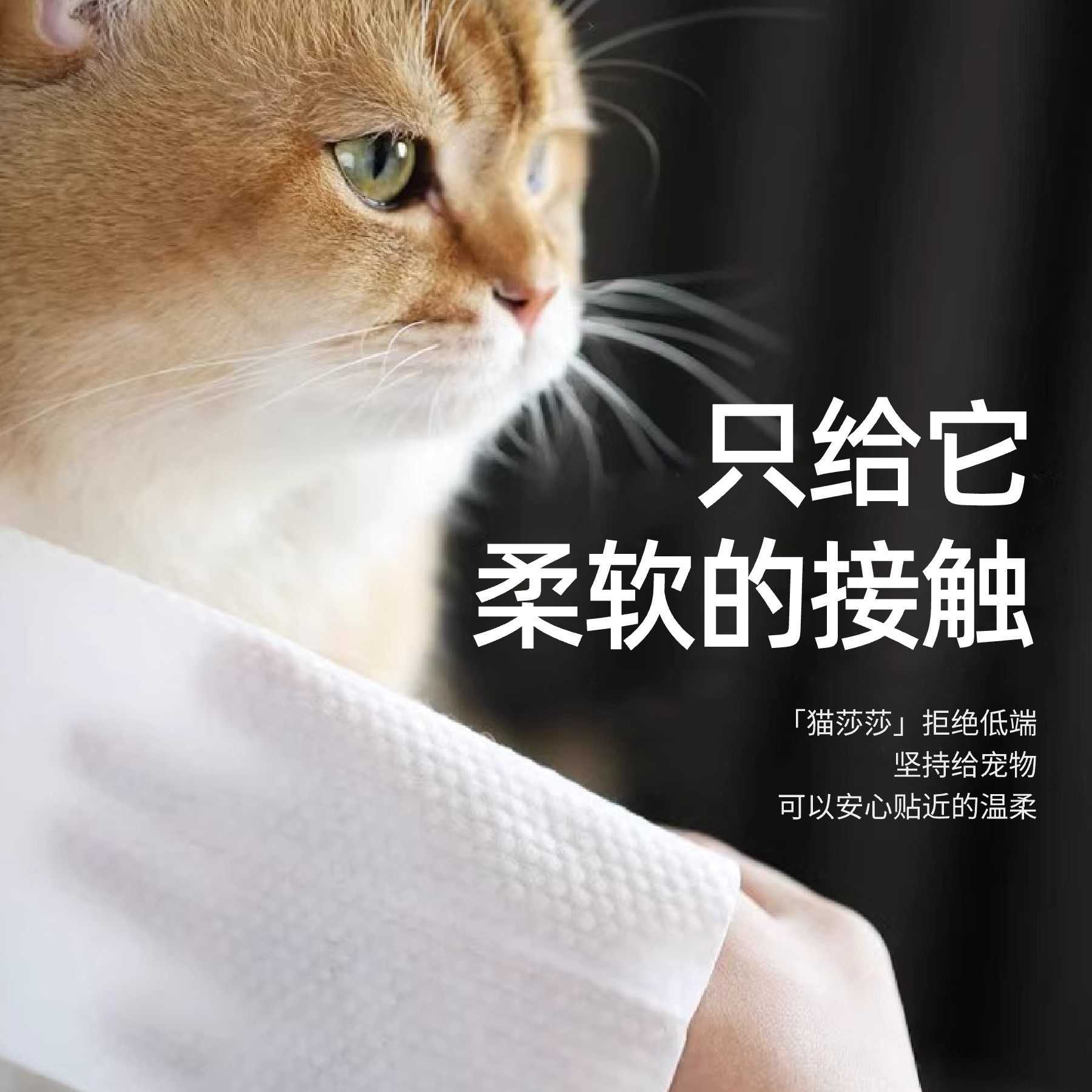 猫莎莎宠物清洁湿巾80片猫咪狗狗无酒精加厚耐用大包装清洁用品,淘宝优惠券,粉丝福利购,淘宝优惠卷