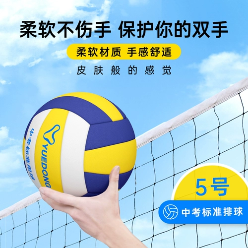 跃动 № 5 старшеклассника старших классов средней школы Стандартный экзамен