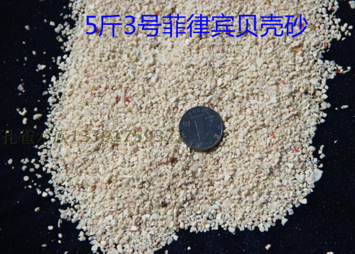 菲律宾贝壳砂鱼缸水族箱寄居蟹黑金刚砂沙子海水缸沙造景黑工沙 - 图1