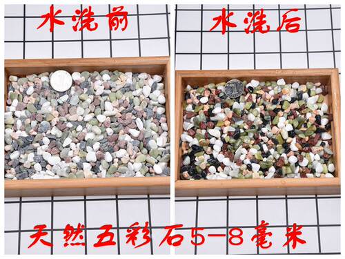 小白石子白玉石雨花石鹅卵石园艺盆栽石头多肉铺面石鱼缸造景铺院 - 图1