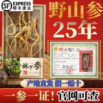 Northeast Ginseng 25 years old age Zhengzong Linchin Ginseng Old Mountain Ginseng Bubble Wine Special Ginseng Gift Box for Dry Ginseng