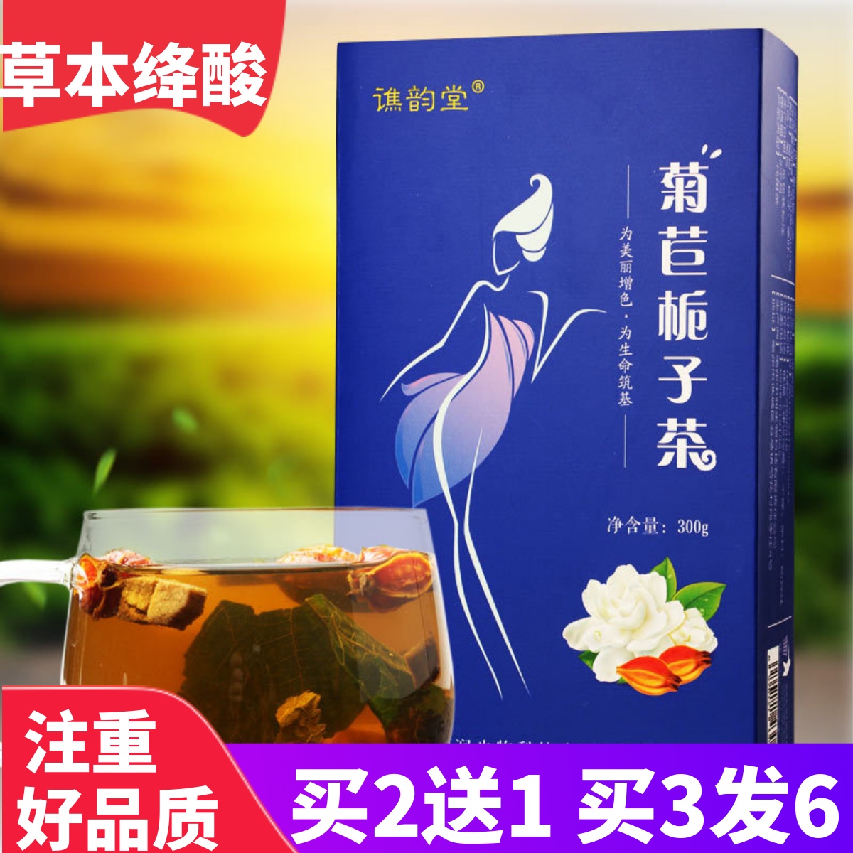 菊苣栀子茶正宗减葛根尿痠桑叶高草本冲泡谯韵堂正品菊苣根组合茶 - 图1