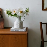 Маленький манчжурский нордик 