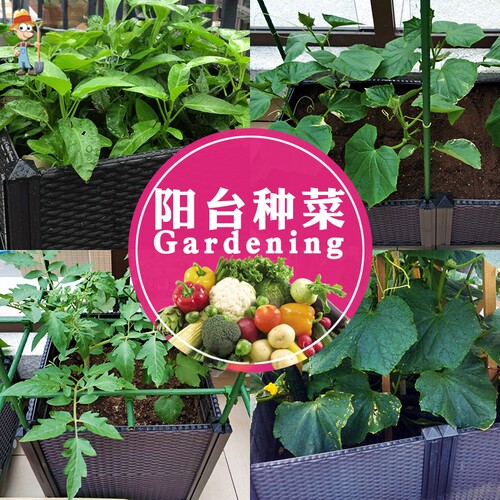 易栽乐2.5S咖啡色种植箱欧式家庭阳台种菜盆大号塑料花盆一米菜园 - 图2