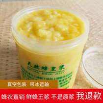 Bee royal jelly wild spring pulp pure raw pulp deep mountain wild flower royal jelly royal jelly fresh royal jelly 500g Buy 2 to send honey