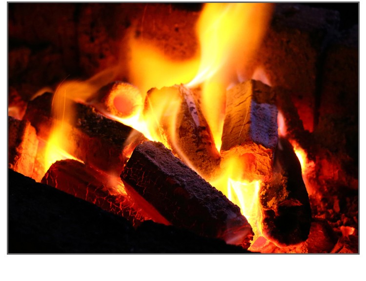 烧烤炭环保无烟果木碳机制木炭条形空心炭烧烤燃料功夫煮茶炭5斤 - 图3