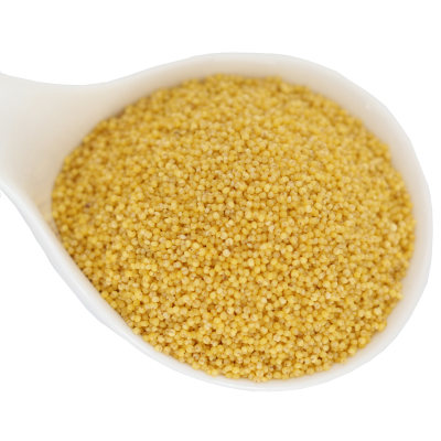 桃花小米新蔚州贡米蔚县小米黄小米月子米宝宝米11孕妇米500g 虎窝淘