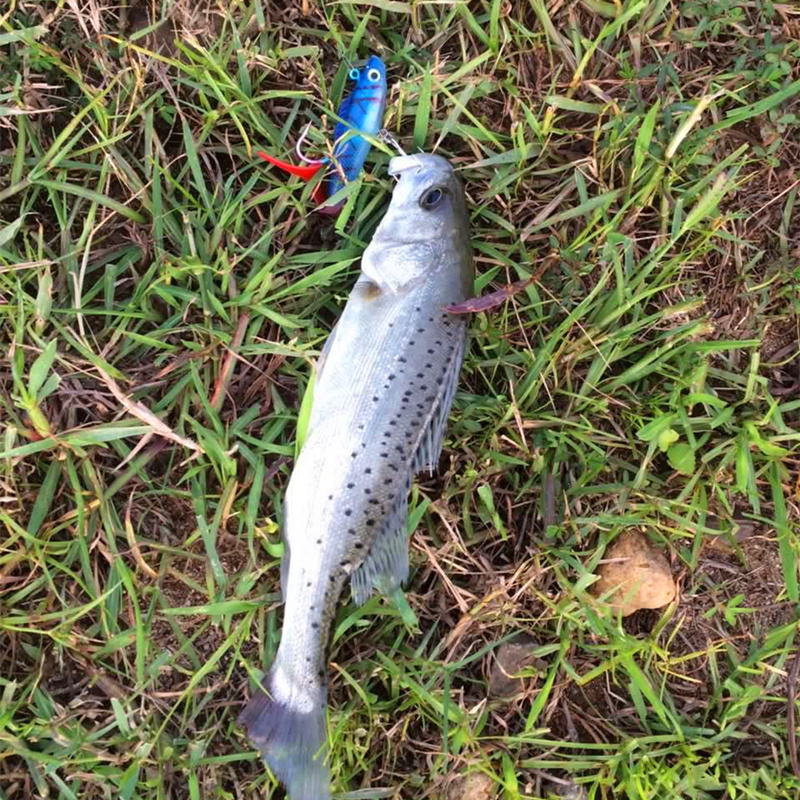 海钓路亚铅头钩软饵t尾卷尾钓组仿生包铅鲈鳜鱼红头白身夜光假饵 - 图0