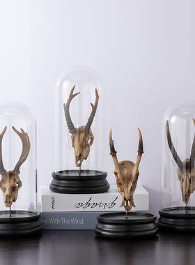 创意动物头骨玻璃罩摆件家居客厅酒柜书房装饰品咖啡厅摆设工艺品