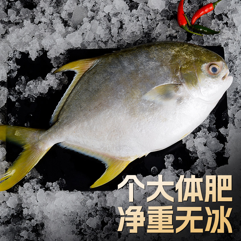 海仙部落青岛金鲳鱼新鲜冷冻特大平鱼银鱼白鲳鳊鱼冰鲜镜鱼,淘宝优惠券,粉丝福利购,淘宝优惠卷