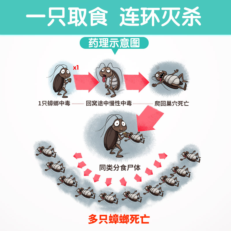 天猫超市皎洁蟑螂药驱虫厨房家用无毒一窝端清杀蟑螂克星全窝端3支1