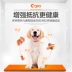 [Ngày hôm sau] tốt chủ dinh dưỡng vàng Labrador con chó con chó con 10kg thức ăn vẻ đẹp đặc biệt chăm sóc tóc - Chó Staples