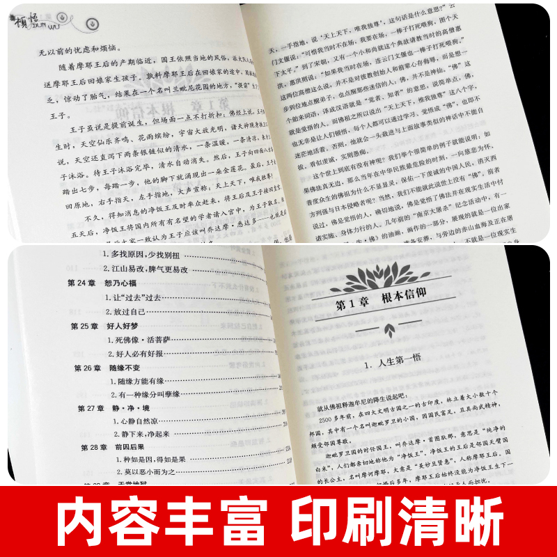 顿悟 身心修行参悟生命真谛人生意义不抱怨焦虑自我提升修心静心 - 图2