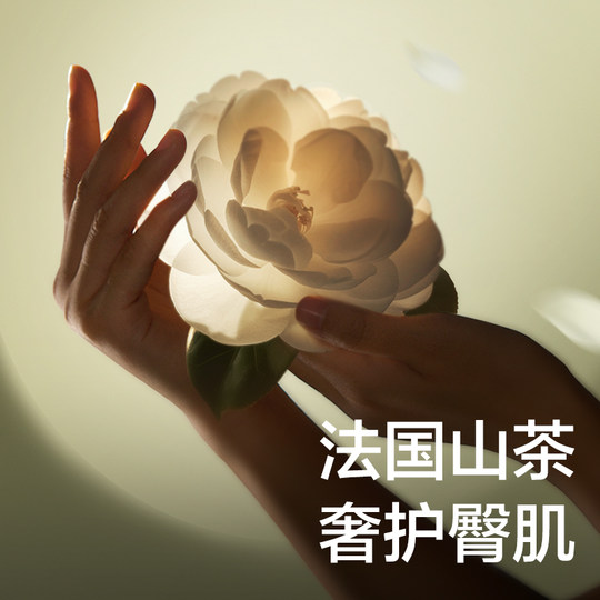 Brand direct supply-babycare camellia diapers