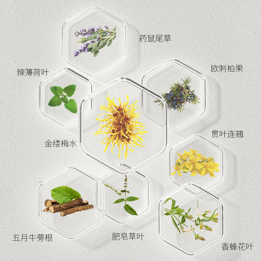 Parche para la nariz removedor de espinillas Tong Yan Ji