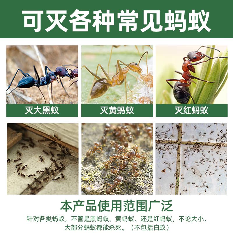 郁康除灭蚂蚁药室内全窝端