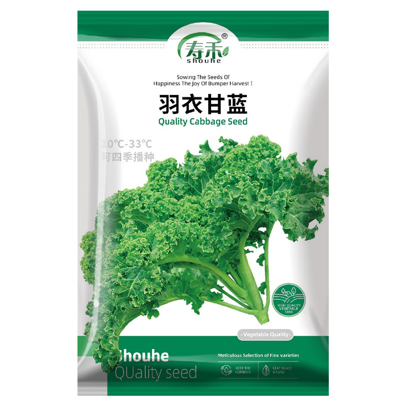 寿禾羽衣甘蓝种子蔬菜种籽10g孑菜种菜籽雨衣语衣盆栽食用羽叶 - 图3