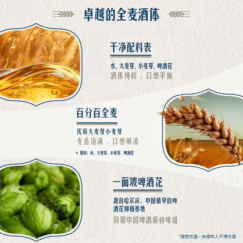 哈尔滨1900全麦啤酒500ml*12听 重塑经典全麦酿造整箱啤酒批发 - 图1
