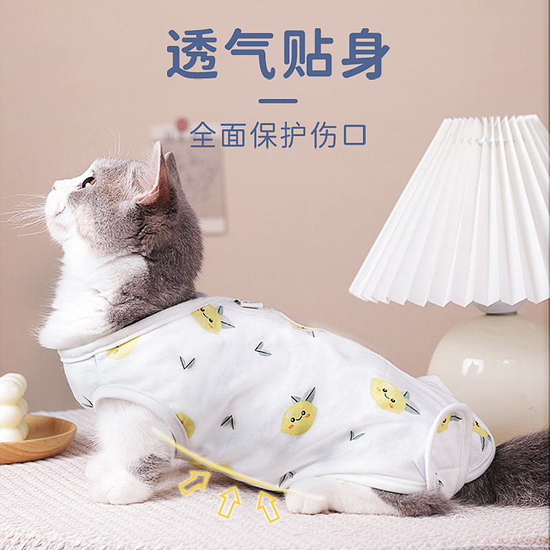 猫咪绝育服猫衣服薄款宠物蓝猫布偶母猫术后服手术衣防掉毛春秋款-图2