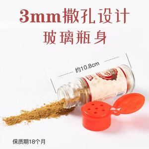 包邮极美滋孜然粉20g羊肉串烤肉撒料烧烤调料全套商用家用配料粉