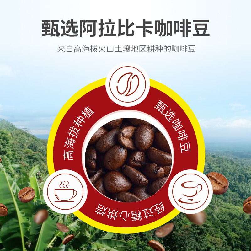 Mount Hagen低因咖啡豆阿拉比卡脱因咖啡豆250g德国进口手冲咖啡 - 图3