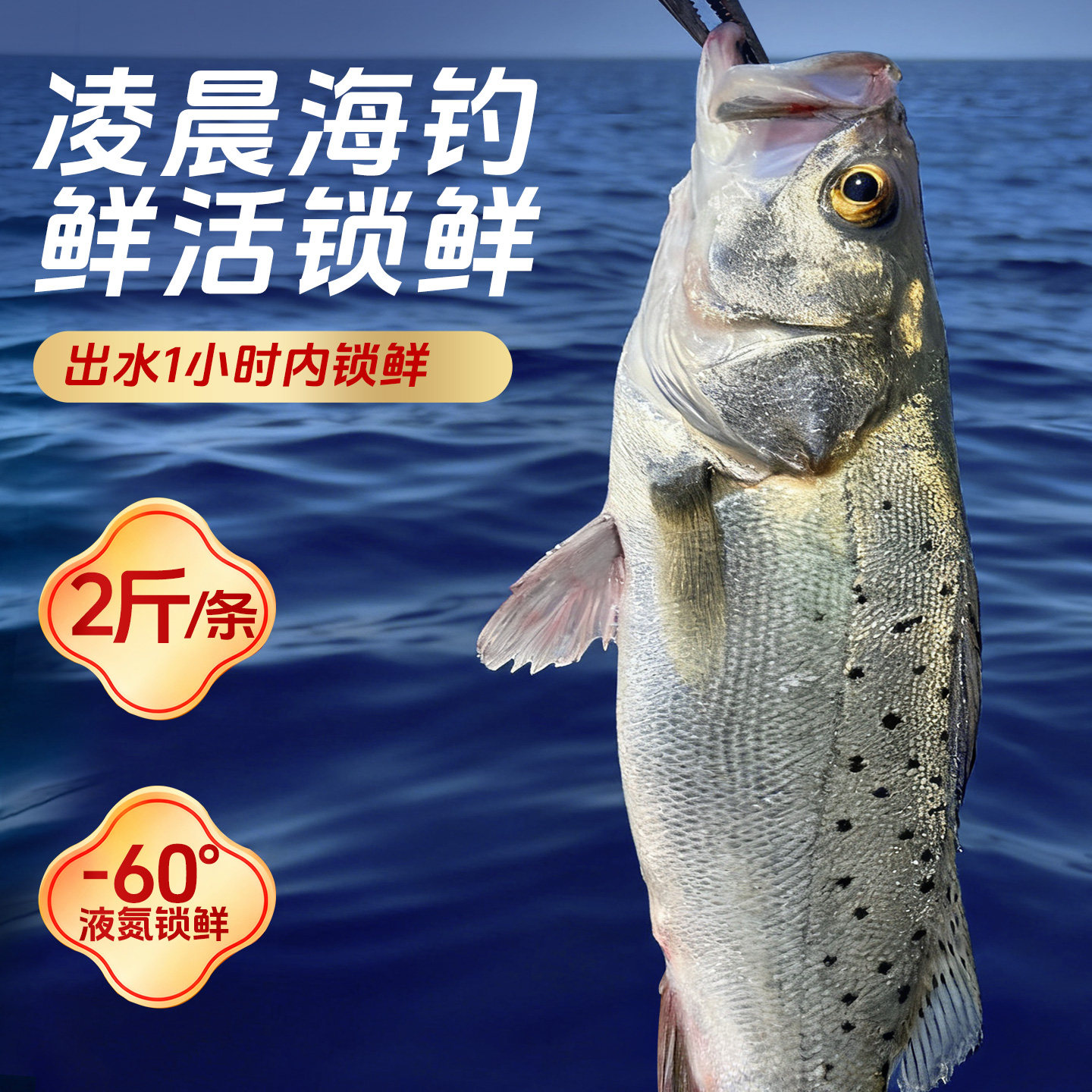 海仙部落海鲈鱼开背去鳞去腮去内脏半成品新鲜冷冻烤鱼,淘宝优惠券,粉丝福利购,淘宝优惠卷