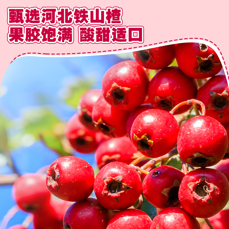 小鹿蓝蓝益生元山楂鸡内金糖葫芦卡皮巴拉山楂棒梨膏棒儿童零食