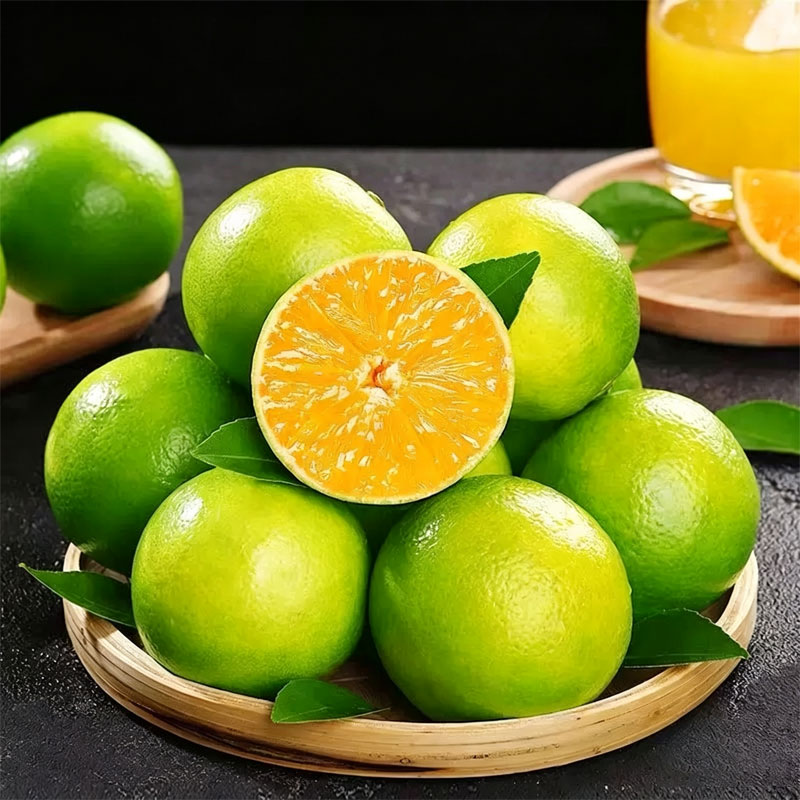 图 5
