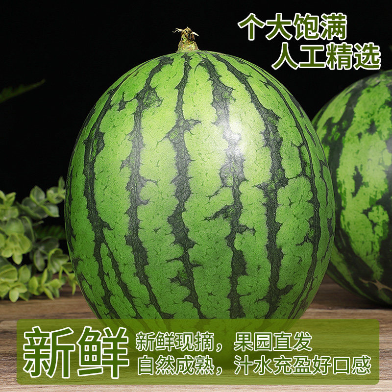 云南麒麟西瓜当季新鲜水果现摘薄皮大西瓜沙瓤有籽甜西瓜正宗,淘宝优惠券,粉丝福利购,淘宝优惠卷
