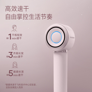 飞科高速吹风机家用负离子护发速干大风力电吹风筒新年礼物FH6371