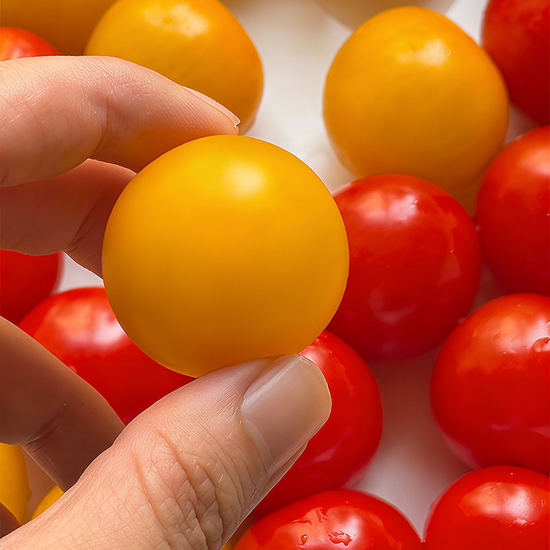 【知翠】红黄樱桃小番茄生吃小西红柿新鲜水果脆甜多汁自然熟,淘宝优惠券,粉丝福利购,淘宝优惠卷