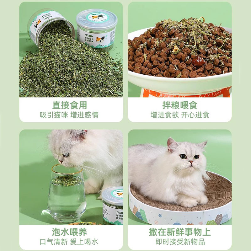 咪零食天然猫薄荷木天蓼叶猫咪野菜宠物预防结石洁齿排除毛球-图2